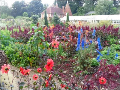 Dans le film "Les Bronz&eacute;s 3, amis pour la vie", sur quelle &icirc;le se trouve l'h&ocirc;tel tenu par Popeye o&ugrave; se retrouve la joyeuse troupe ?