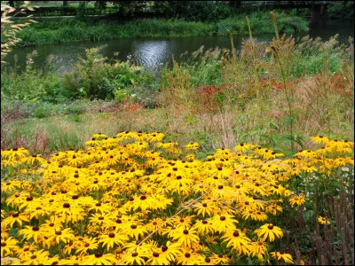 &Agrave; qui doit-on cette citation "Qu'un ami v&eacute;ritable est une douce chose ; il cherche vos besoins au fond de votre c�ur ; Il vous &eacute;pargne la pudeur, de les lui d&eacute;couvrir vous-m&ecirc;me." ?