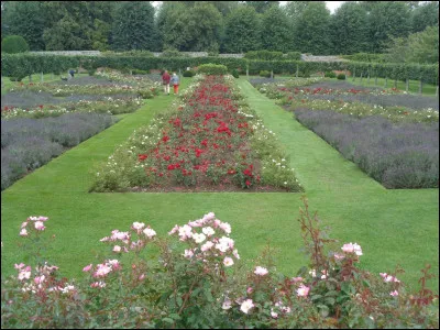 Dans le nom d'une c&eacute;l&egrave;bre &eacute;mission de t&eacute;l&eacute;vision consacr&eacute;e aux animaux de compagnie, combien y a-t-il d'amis ?