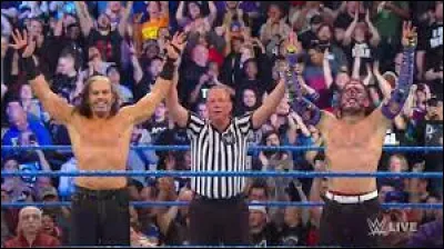 Les Hardy Boyz sont spécialisés dans les matchs :