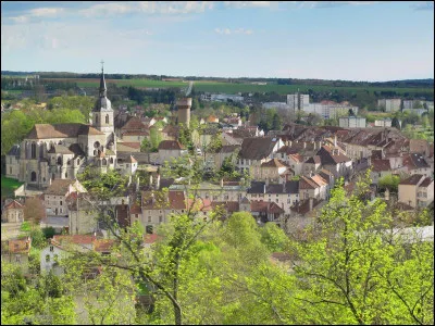 Ville de 6 600 habitants, sous-préfecture du département des Vosges, située au confluent de la Meuse et du Mouzon :