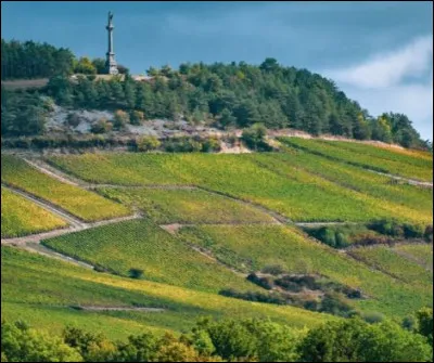 Que tient, dans sa main droite, la statue "Notre Dame des Vignes" haute de 23m située à Neuville sur Seine ?