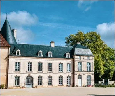 Quel est le nom de ce château construit en 1086, situé sur la commune des Riceys ?