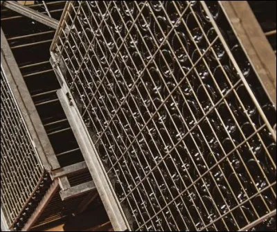 Quel nom donne-t-on à ce dispositif permettant le remuage mécanique des bouteilles de Champagne ?