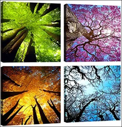 Quelle saison préfères-tu ?