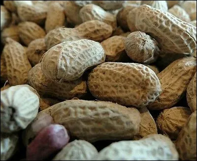 Que penses-tu en voyant une cacahuète ?