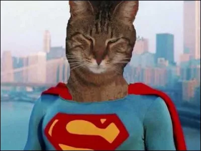 As-tu un costume de super-héros ?