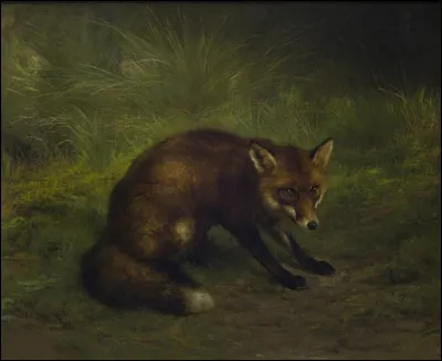 À qui doit-on "Étude de renard" ?