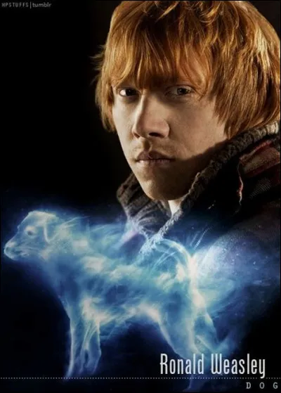 Quel est le patronus de Ron ?
