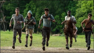 D'où provient ce film ?