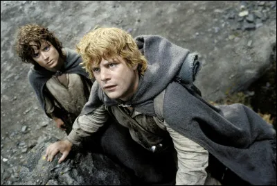 D'où provient ce film ?