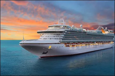 Tes parents t'emmènent pour les vacances en croisière et ils te permettent d'inviter une personne. Qui choisis-tu ?