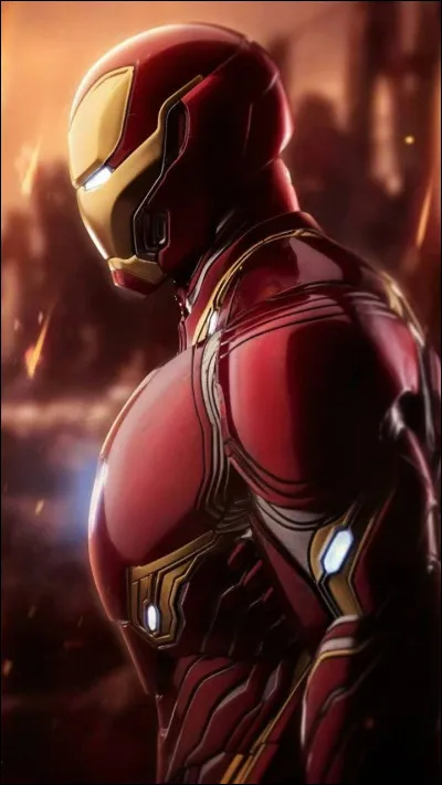Quel acteur joue le rôle de Tony Stark ?