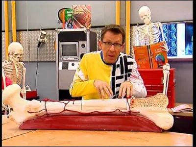 La bière solidifie-t-elle les os ?