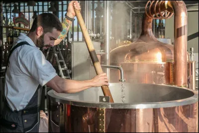 Quelles sont les étapes de fabrication de la bière ?