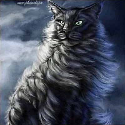 Quel chat a tué Pelage de Granit ?