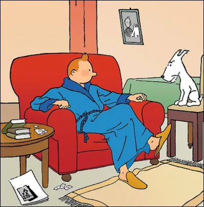 À quelle adresse Tintin habite-t-il ?