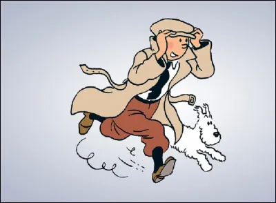 Quel est le métier de Tintin ?