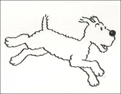 Quelle est la race de Milou, son chien ?