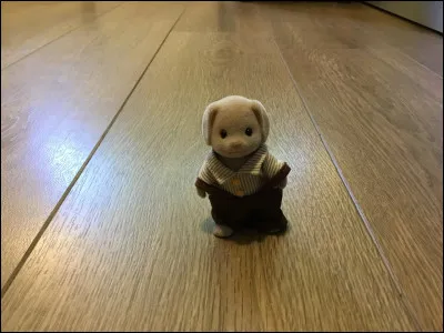 Comment s'appelle cette famille ?