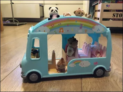 Comment s'appelle cet accessoire ?