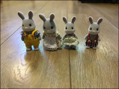 Comment s'appelle cette famille ?