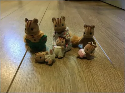 Comment s'appelle cette famille ?