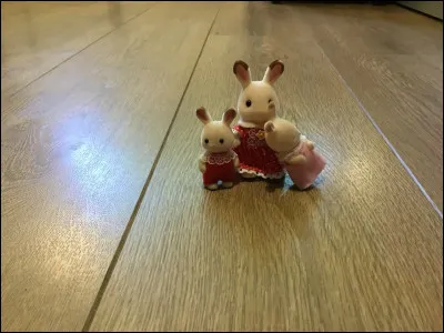 Comment s'appelle cette famille ?