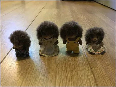 Comment s'appelle cette famille ?