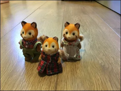 Comment s'appelle cette famille ?