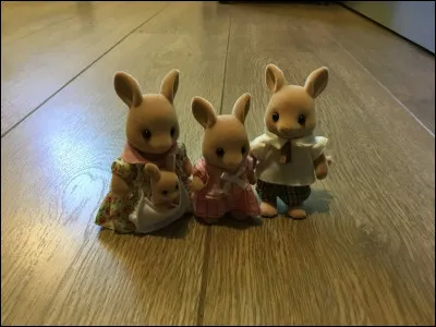 Comment s'appelle cette famille ?