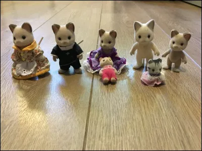 Comment s'appelle cette famille ?