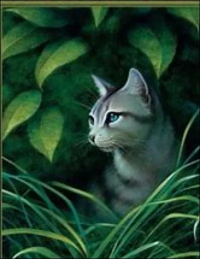 Qui est le quatri&egrave;me chat dont parle la proph&eacute;tie ?