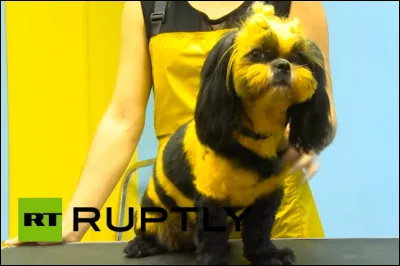 Il se promenait dans le jardin, quand soudain, au détour d'un rosier, il est tombé sur elle, depuis ils butinent ensemble, leur bébé est mignon tout plein !