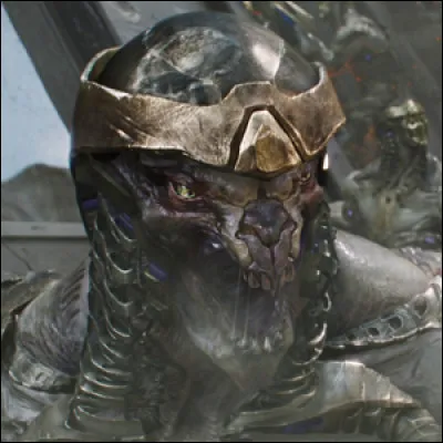 Quelle est la race de son armée ?