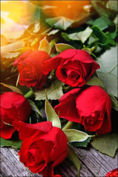 Elle a plusieurs sortes de roses : des roses _____, des roses ____, des roses _____ et des roses _____.
