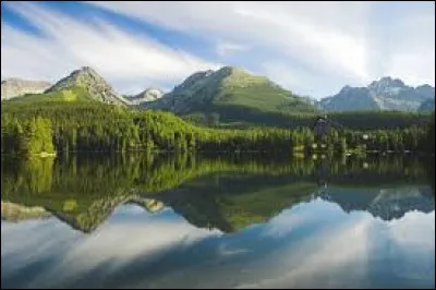 Histoire - La Slovaquie fut intégrée à la Tchécoslovaquie en :