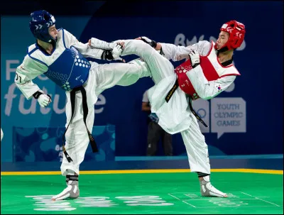 Outil de propagande nationaliste sud-coréen, pendant quelle décennie du XXe siècle, le taekwondo voit-il le jour en Corée du Sud ?