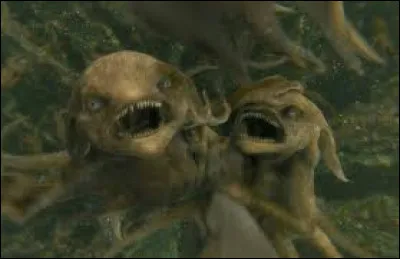 Comment s'appelle cette chose ?