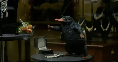 Comment s'appelle cet animal ?