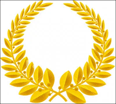 Les diplômes ou les titres professionnels et les formations représentent-ils la même catégorie dans un CV ?