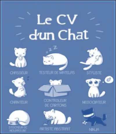 Dois-je avoir plusieurs CV ?