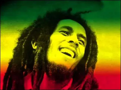 Quel est le principal registre musical du chanteur jamaïcain Bob Marley ?