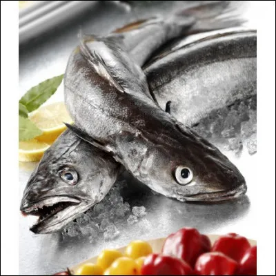 Le poisson colin est de...