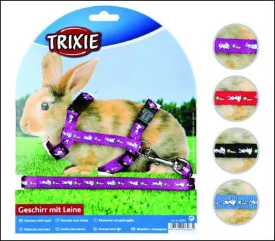 Peut-on utiliser un harnais pour les sorties du lapin ?