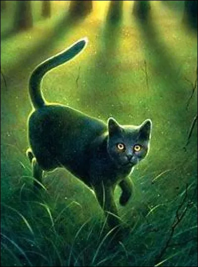 De quelle maladie souffre Gris Poil ?