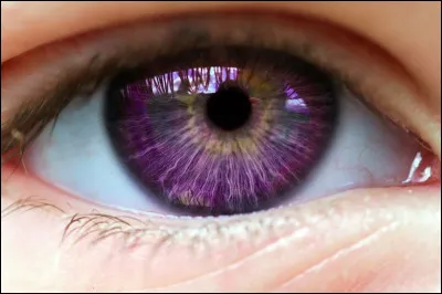 Quand vos regards se croisent, que fait-il ?