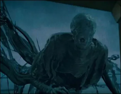 Qui s'est chargé d'y amener des Détraqueurs ?