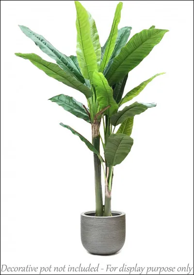 Quel est l'autre nom de l'épice appelée quatre-épices ?