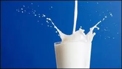 Mon deuxième est le vo...